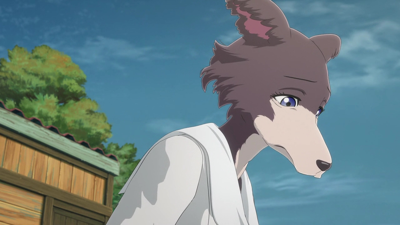 Read more about the article Beastars Season 2 Episode 8